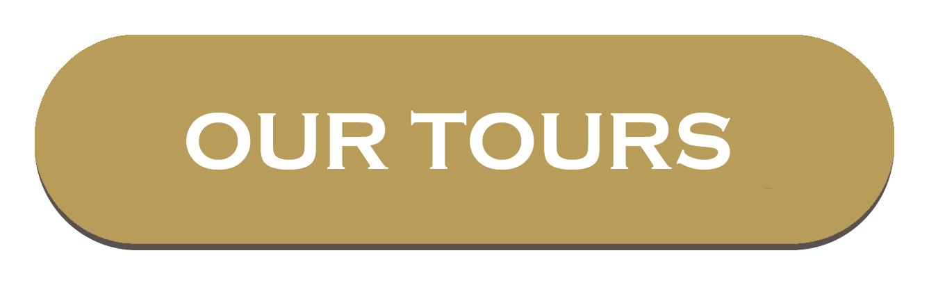 OUR TOURS